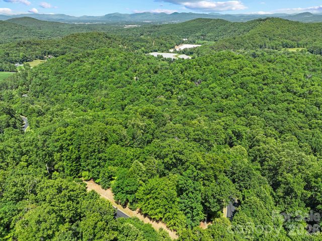 472 Mills River Way, Horse Shoe, NC 28742