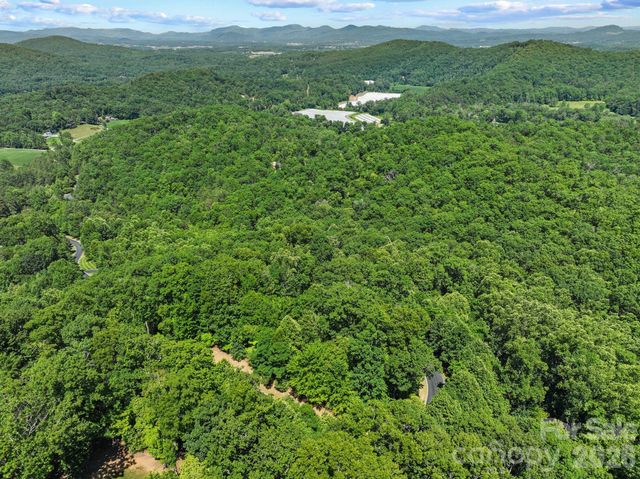 472 Mills River Way, Horse Shoe, NC 28742