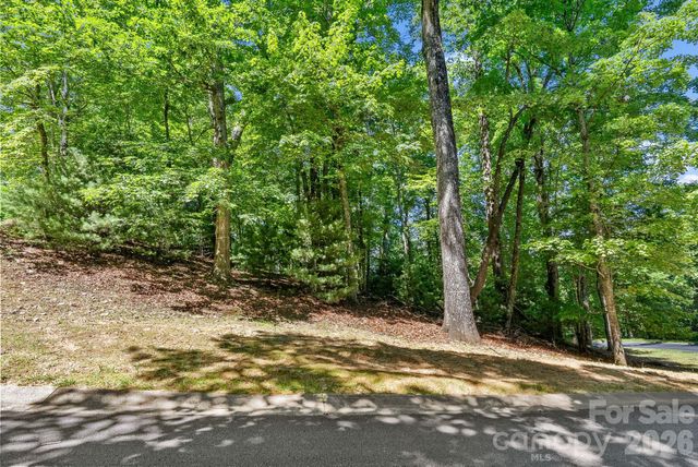 472 Mills River Way, Horse Shoe, NC 28742