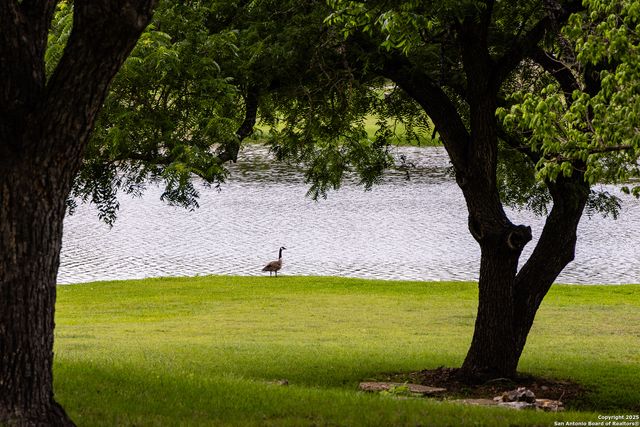 194 N Wood Duck, Kerrville, TX 78028