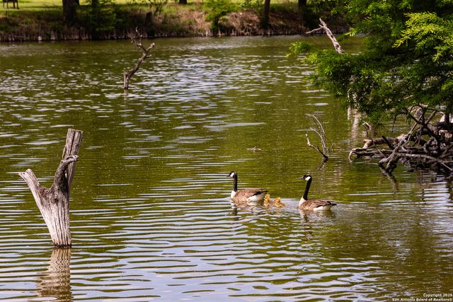 194 N Wood Duck, Kerrville, TX 78028