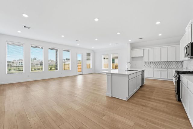 14919 Calluna Heather Lane, Conroe, TX 77302