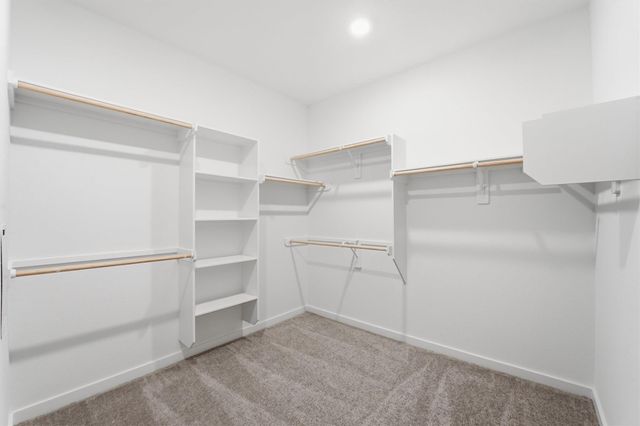 14919 Calluna Heather Lane, Conroe, TX 77302