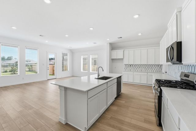 14919 Calluna Heather Lane, Conroe, TX 77302