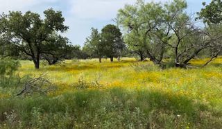 TBD Jayden Lane Lot 1B, Loving, TX 76450