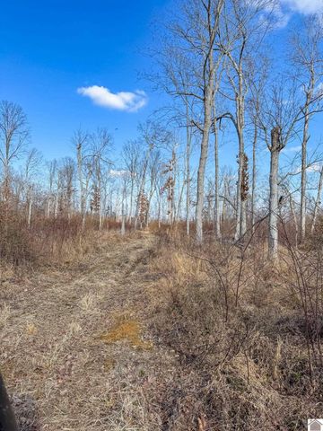 2431 N Wadesboro Road, Benton, KY 42025