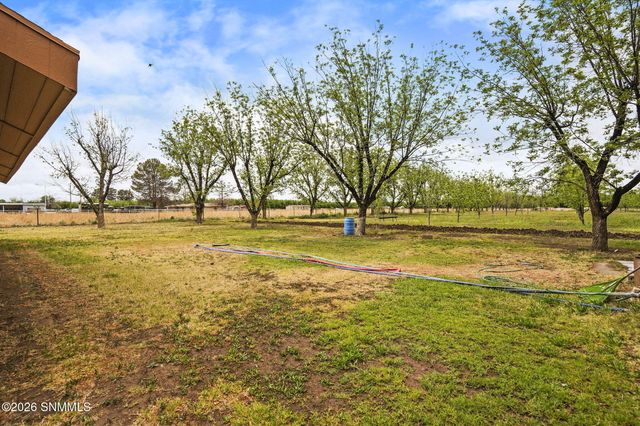 1015 Lister Drive, La Mesa, NM 88044