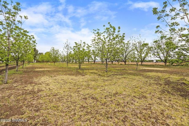 1015 Lister Drive, La Mesa, NM 88044
