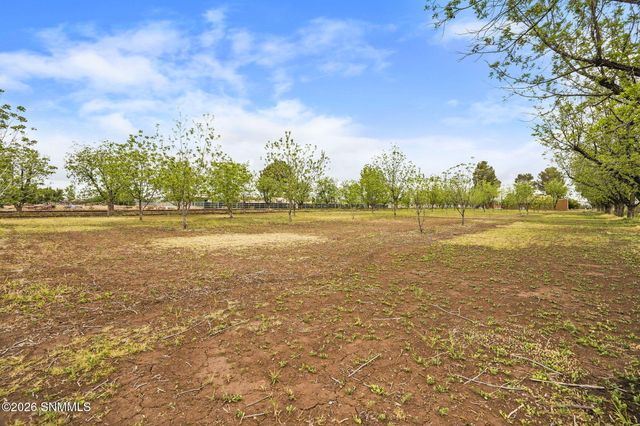 1015 Lister Drive, La Mesa, NM 88044