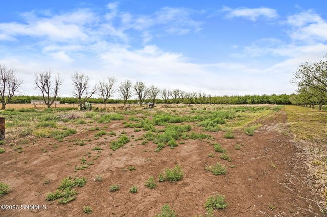1015 Lister Drive, La Mesa, NM 88044