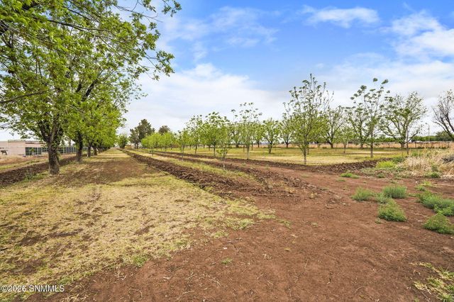 1015 Lister Drive, La Mesa, NM 88044