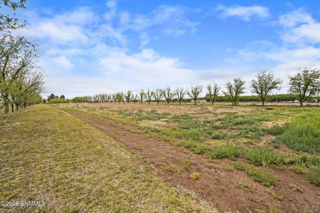 1015 Lister Drive, La Mesa, NM 88044