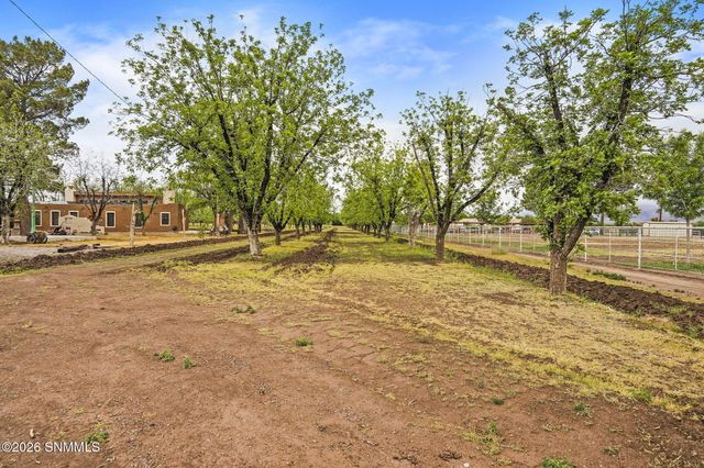 1015 Lister Drive, La Mesa, NM 88044
