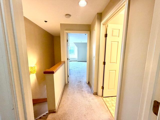 44 Elm 508, Worcester, MA 01609