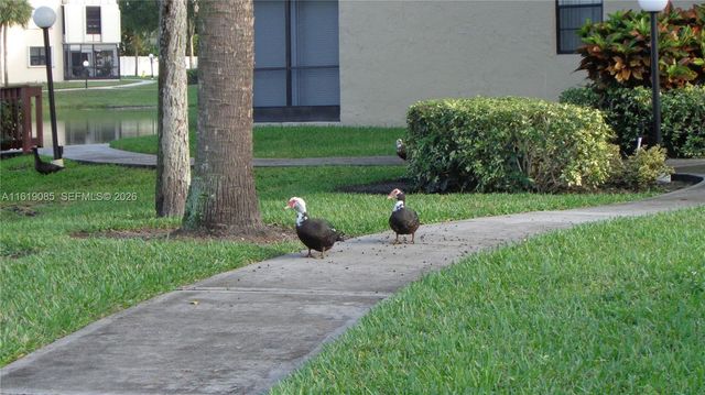 6085 N Sabal Palm Boulevard 204, Tamarac, FL 33319