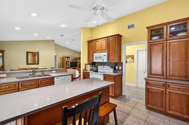 1918 UMBRELLA TREE DRIVE, Edgewater, FL 32141