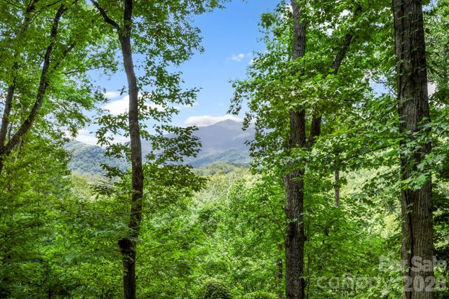 394 Hickory Drive, Waynesville, NC 28786