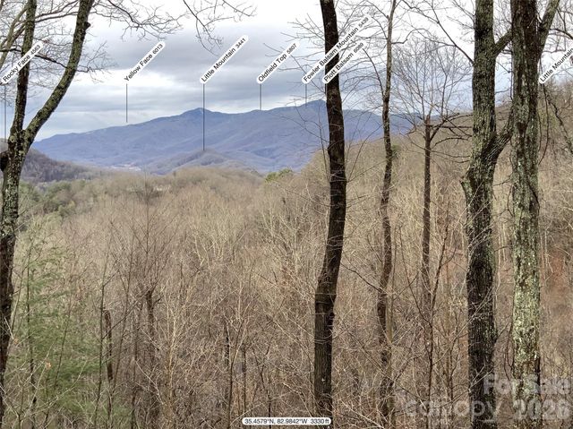 394 Hickory Drive, Waynesville, NC 28786