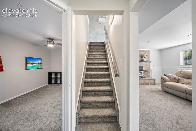 4140 Tulip Way, Colorado Springs, CO 80907