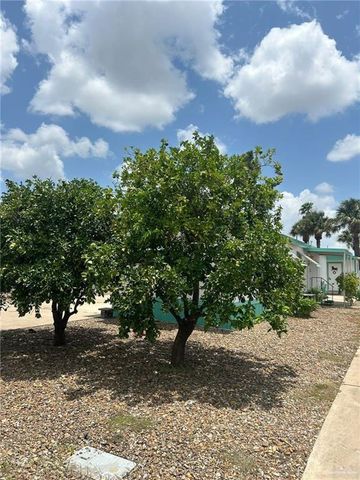 205 Christy Drive, Mission, TX 78572