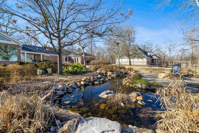 17119 Pilot Dr, Tyler, TX 75707