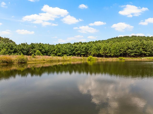 140 COUNTY ROAD 2242, Daingerfield, TX 75638