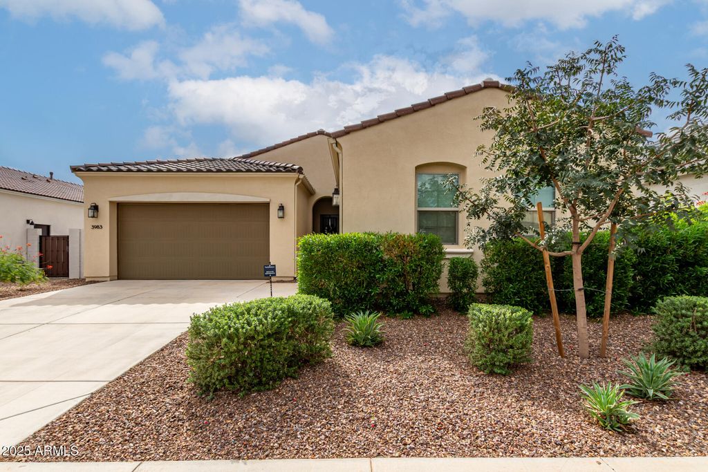 3983 W SERPENTINE Drive, San Tan Valley, AZ 85144