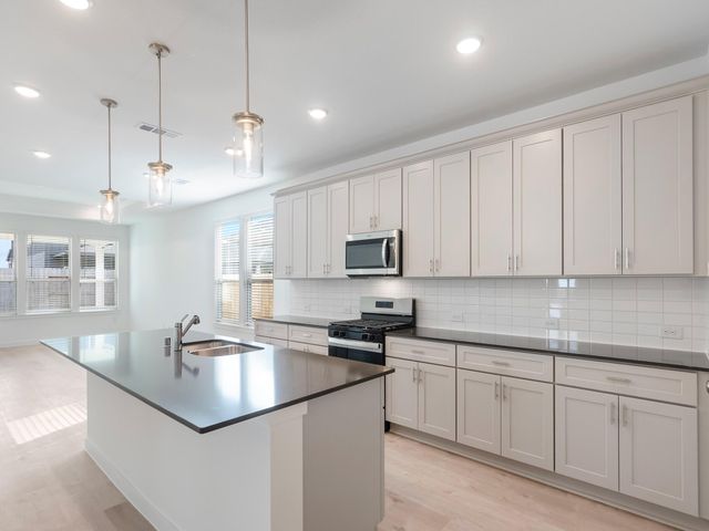 15162 Wild Gully Way, Conroe, TX 77302