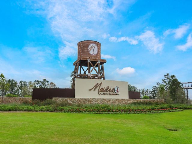 15162 Wild Gully Way, Conroe, TX 77302