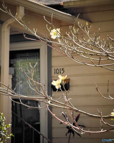 1015 Grant Street SE, Decatur, AL 35601