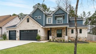 245 E Blue Heron Drive, Montgomery, TX 77316