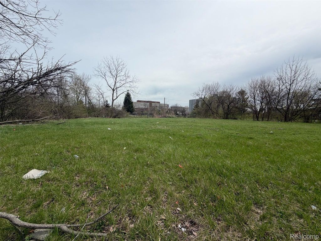 698 Field Street, Detroit, MI 48214