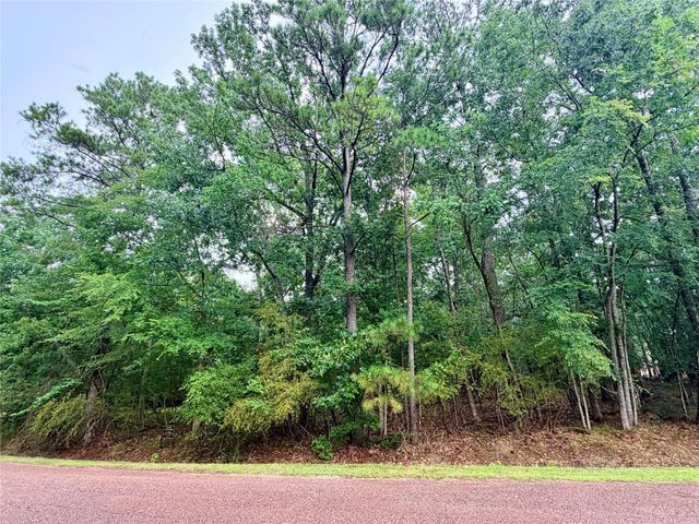 85 S Royale Greens Drive, Coldspring, TX 77331