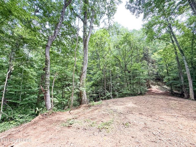 Forest Creek Pkwy, Oak Ridge, TN 37830
