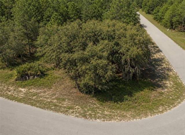 0 MALAUKA DRIVE, Ocklawaha, FL 32179