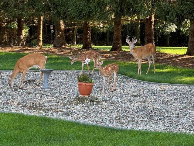 51111 Stratford Court, Elkhart, IN 46514