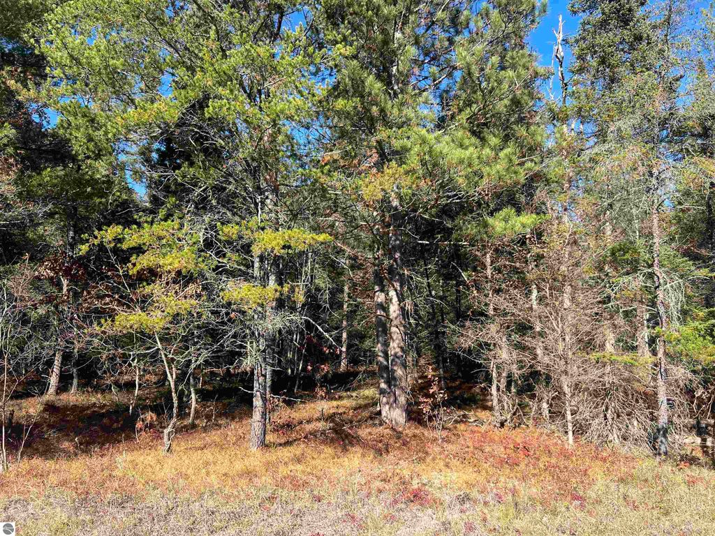 Image 1 of property listing at 00 E North Down River Road, Grayling, MI 49738