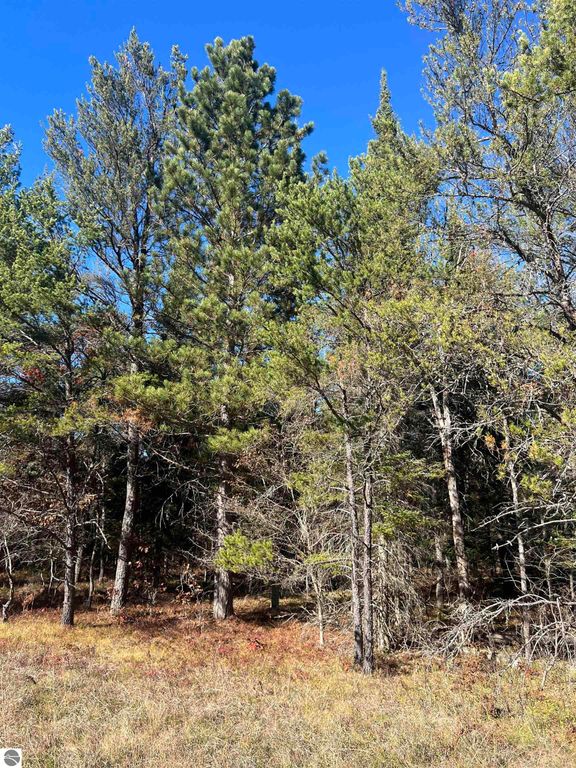 Image 2 of property listing at 00 E North Down River Road, Grayling, MI 49738