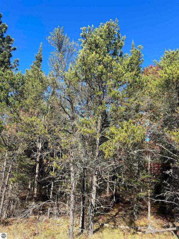 Image 4 of property listing at 00 E North Down River Road, Grayling, MI 49738