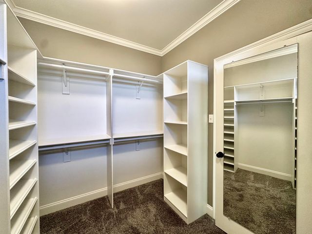 55 WHITE WAY CV, Munford, TN 38058