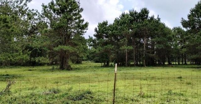 TBD Interstate 10, Hamshire, TX 77622