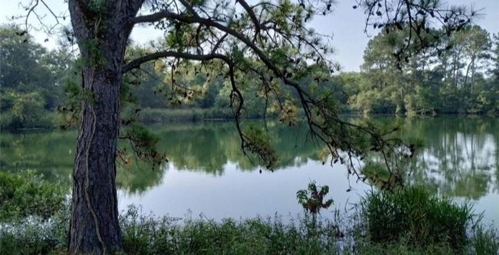 TBD Interstate 10, Hamshire, TX 77622