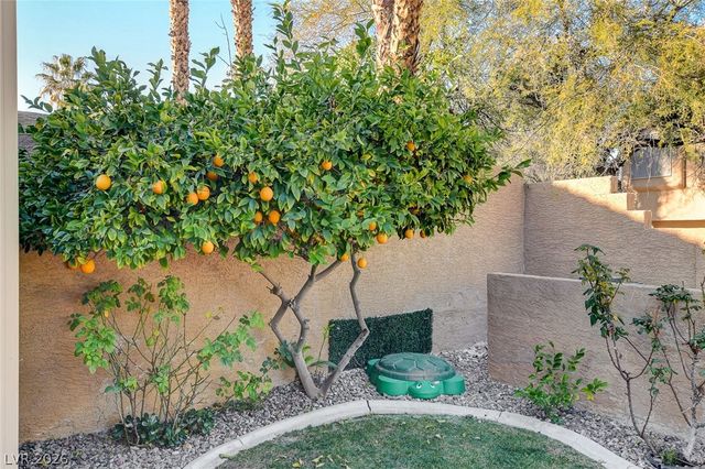 8412 Willow Point Court, Las Vegas, NV 89128