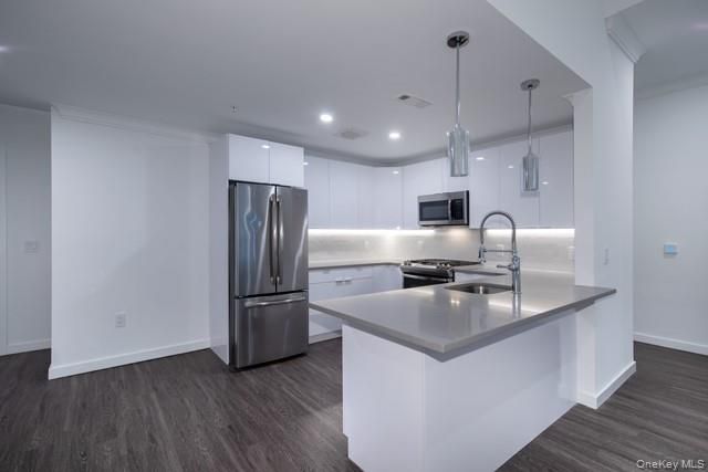 116 Searing Avenue PHN409, Mineola, NY 11501