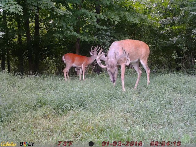 1333 Cross Creek Drive, Goshen Twp, OH 45140