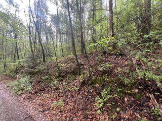 111 Bear Den Trl, Grandview, TN 37337