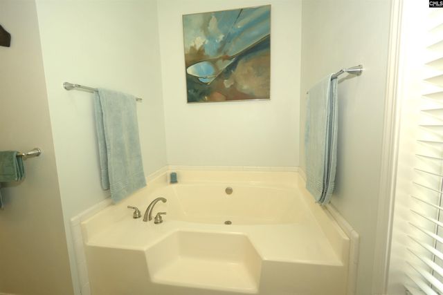 224 Limestone Road, Chapin, SC 29036