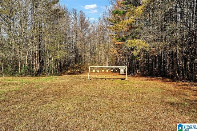 509 COUNTY ROAD 547, Hanceville, AL 35077