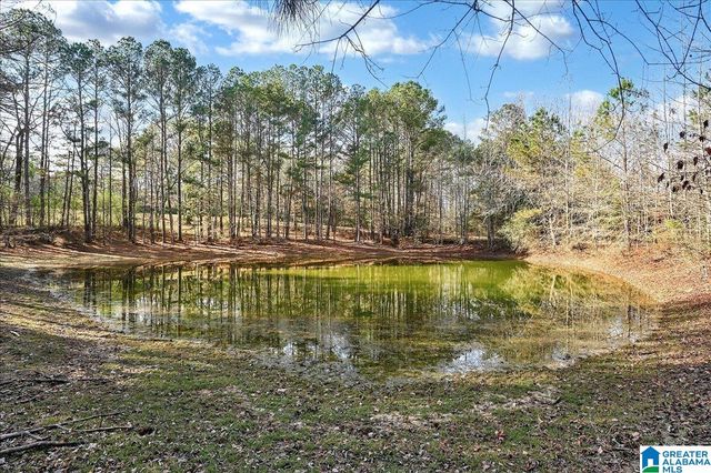 509 COUNTY ROAD 547, Hanceville, AL 35077