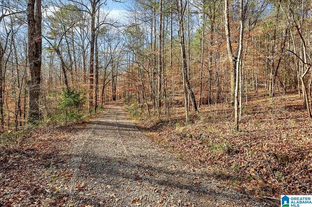 509 COUNTY ROAD 547, Hanceville, AL 35077